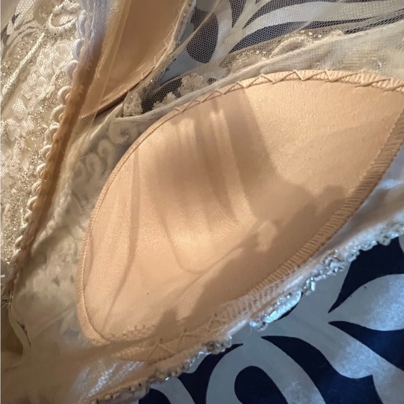 Pollardi Lanisideta Bridal Gown, lightly worn - Picture 12 of 12